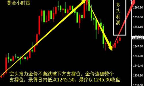 金价触底反弹新闻_金价 暴跌